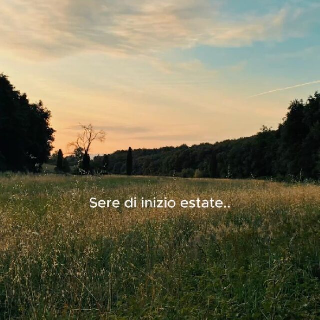 Siamo entrati nel bosco con la luce del tramonto, abbiamo letto storie sui teli, camminato piano mentre il sentiero cambiava colore. Poi abbiamo spento le torce e aspettato..
E loro sono arrivate: piccole luci che si accendono e si spengono, senza fretta, come se il bosco respirasse.
Le lucciole non si possono fotografare davvero. Bisogna esserci, con il naso all'insù e qualcuno accanto a cui sussurrare "eccola!".
Grazie alle famiglie che hanno aspettato il buio insieme a noi. ✨ Giugno prossimo andremo ancora una volta a cercarle, insieme!
#mammalupagae #bambininelbosco #toscanaconbambini #famiglieinnatura #lucciole