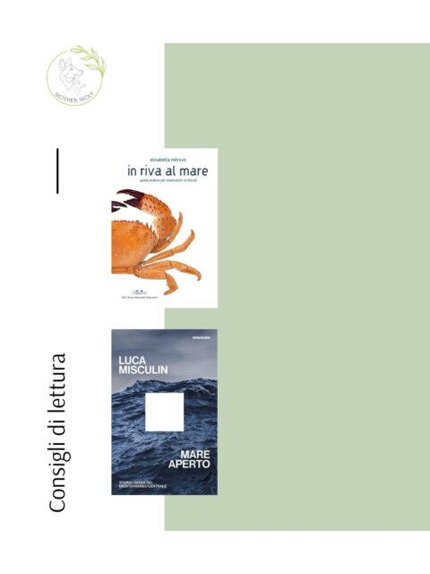 Quante volte quest’estate abbiamo raccolto una conchiglia senza sapere da dove fosse arrivata? Quante volte osserviamo meravigliati l’orizzonte del mare immaginando infinite storie?
Oggi vi consiglio due letture per provare a dare qualche risposta alle nostre domande.
La rubrica dei consigli di lettura è rimasta ferma qualche mese — e allora questo mese di libri ve ne porto due: uno per i piccoli esploratori, uno per voi.
📖 Per loro: “In riva al mare” di Elisabetta Mitrovic (Topipittori). Con bellissimi disegni ci accompagna alla scoperta dei piccoli misteri della riva: come si formano le conchiglie, cos’è davvero la Posidonia che spesso scambiamo per un’alga. Consigliato dai 5 anni.
📖 Per voi: “Mare aperto” di Luca Misculin (Einaudi). I primi uomini avevano paura del mare. Non sappiamo con certezza cosa li abbia spinti a costruire le prime rudimentali imbarcazioni per solcarlo. Una storia lunga millenni che ci lega al nostro mare fino a oggi, quando interi popoli sfidano ancora quelle acque in cerca di salvezza.
Due libri, lo stesso mare: i bambini lo esplorano con le mani nella sabbia, noi con lo sguardo oltre l’orizzonte.
Li conoscevate?
#consiglidilettura #libriestate #libriperbambini #librichepassione #leggerechepassione