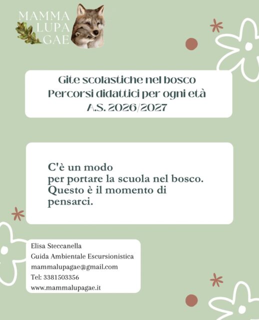 Con la guida ambientale escursionistica Mamma Lupa GAE, le escursioni diventano un viaggio tra ambiente, emozioni e conoscenza.
Percorsi pensati per tutte le età e tutti i gradi scolastici:
🌿 Attività calibrate su programmi didattici, competenze e stagionalità
🌿 Approccio esperienziale, educativo e inclusivo
🌿 Giochi, storie, osservazioni sul campo e laboratori sensoriali
Dalle colline al mare, dalla macchia mediterranea ai borghi rurali, ogni luogo racconta qualcosa… e insieme impariamo ad ascoltarlo.
📚 Se sei un’insegnante o conosci qualcuno che organizza gite scolastiche, taggalo o condividi questo post: potrebbe essere l’idea giusta per la prossima uscita didattica della classe!
👨👩👧 E se sei un genitore, gira questo post alle maestre dei tuoi figli — a volte basta un suggerimento per far nascere un’esperienza indimenticabile.
📩 Scrivimi in DM o all’indirizzo mammalupagae@gmail.com per costruire insieme il percorso più adatto alla tua scuola o al tuo gruppo.
#mammalupagae #gitescolastiche #scuolaallaperto #insegnanti #guidaambientaleescursionistica