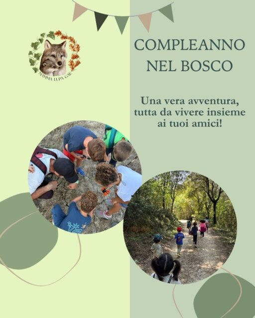 Se stai cercando un compleanno diverso dagli altri, che possa regalare una vera avventura al tuo bambino e ai suoi amici, un Compleanno nel Bosco è quello che fa per te. 🌿
Preparo io il percorso, pensato per l’età dei bambini: un sentiero da seguire con gli amici, una mappa in mano, qualcosa da scoprire dietro ogni curva. Poi una coperta stesa tra gli alberi, la torta (o muffin o donuts), le candeline, e un altro giro intorno al sole da celebrare insieme.
Scegli il tema, le attività e dimmi cosa desideri per il percorso: lo costruiamo su misura per il tuo bambino e per i suoi amici.
Circa 2 ore, per bambini e bambine dai 4 agli 11 anni, fino a 20 invitati.
Gli inviti digitali personalizzati sono compresi.
A te resta solo il cibo: al resto penso io.
Autunno e primavera sono le stagioni perfette, ma organizzo compleanni tutto l’anno.
Scrivimi in DM per info e disponibilità. 🍂
#mammalupagae #compleannonelbosco #famiglieinnatura #escursioniconbambini #festacompleanno