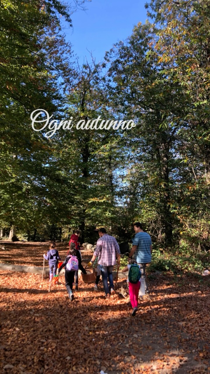 Ogni autunno ci chiniamo a raccogliere castagne. 🌰
È un gesto semplice: tra ricci che pungono e mani sporche di terra.
Ma dietro c’è una storia lunga. Per centinaia di anni intere comunità hanno chiamato il castagno “l’albero del pane”: delle foglie, del legno, dei ricci e infine delle castagne non si buttava via niente. Ci si viveva.
Ogni castagna che raccogliamo, tiene viva una memoria che ci riguarda tutti.
Il 17 ottobre raccogliamo e scopriamo queste memorie insieme a Santallago (LU), se ti va di esserci.
#mammalupagae #castagne #santallago #autunnonelbosco #naturaperbambini
